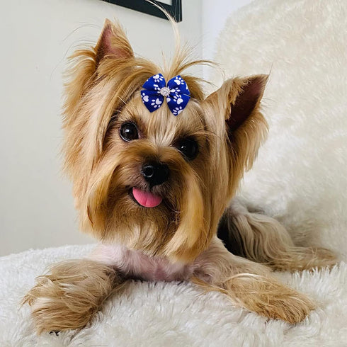 PET SHOW 50Pcs/25Pairs Paw Pattern Small Dog Hair Bows Bulk with Rubber Bands for Medium Dogs Cats, Puppy Shih Tzu