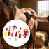 Aymzbd 11x Set Horse Grooming Kit,Cleaning Tools Gift Horses Care Supplies Horse Brush for Horseriders Shedding Owners