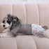 CuteBone Female Dog Diapers, Washable Small Medium Large 3 Pack Reusable Doggie Diapers for Puppy Period Pants
