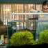 Mipcase 4Pcs Red Worm Feeder Dish with Suction Cup, Floating Fish Tank Feeding Bowl for Shrimp and Fish.