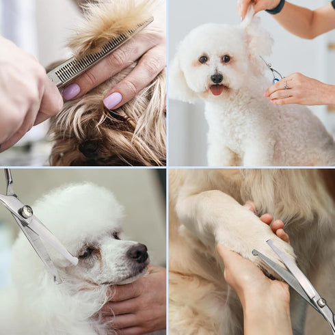 Dog Grooming Scissors Kit with Safety Round Tips, Stainless Steel Professional Pet Grooming Scissors, Thinning, Curved