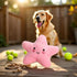 WaigN Pink Starfish Squeaky Dog Toy, Soft Plush Vocal Dog Plaything Pets Supplies Teddy Bichon, Squeaky Toys/Chew Toys