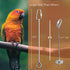 Bird Cage Food Holder, Parrot Fruit Vegetable Skewer Feeder for Parakeet, Budgie, Macaw