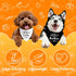 2 Pack Dog Bandanas for Pregnancy Announcement, Cute Adjustable Pet Bandana Scarf for Small Medium Large Dogs, Gender