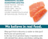McLovin's Pet Freeze Dried Raw Salmon Dog Treats, 2.5 oz - High Protein, Grain-Free, Gluten-Free Healthy Dog Training