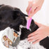 Flea Comb for Dogs & Cats, 5 Pieces Grooming Set with Metal Teeth and Storage Pouch (Pink)