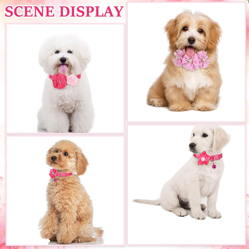 Tudomro 40 Pcs Adjustable Pink Dog Collars, Rose Red for Small Medium Dogs, Wedding Party Grooming Accessories
