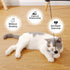 PAZ'S GIFT Cat Wand Toy, Cute Mouse Tease Interactive Indoor Toy for Cats, Fun Kitten Play with Chase Movement