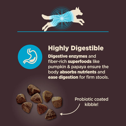 Wellness CORE Digestive Health Dry Dog Food, Highly Digestible for Sensitive Stomachs, Made in USA (4 lbs)