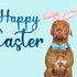 Dog Collar, Easter Day Adjustable Collar with Bunny Print Bowtie for Medium Small Large Dogs, Cute Gift