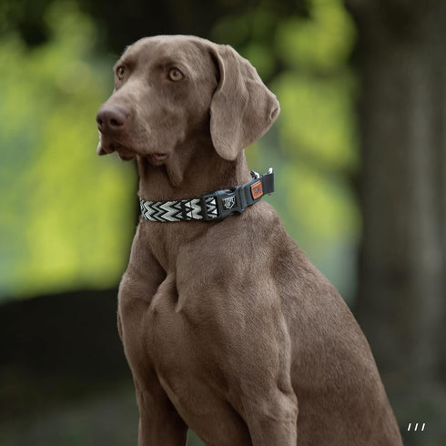 ANDA Martingale Dog Collar with Quick Release Buckle, Soft No Slip Ideal for Daily Walking and Training (Black and