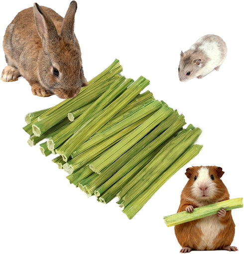 Jwizyotr Rabbit Chew Sticks 30PCS Guinea Pig Chew Toys Bunny Treats Natural Papaya