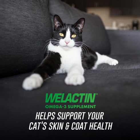3 3 4 Nutramax Welactin Omega Fish Oil for Cats, Skin and Coat Health Supplement, Plus Kidney, Brain, and Vision