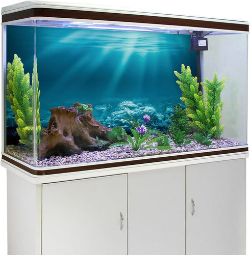AWERT 36x18 inches Sunshine Underwater World Fish Tank Background, Undersea Theme Aquarium Background Vinyl