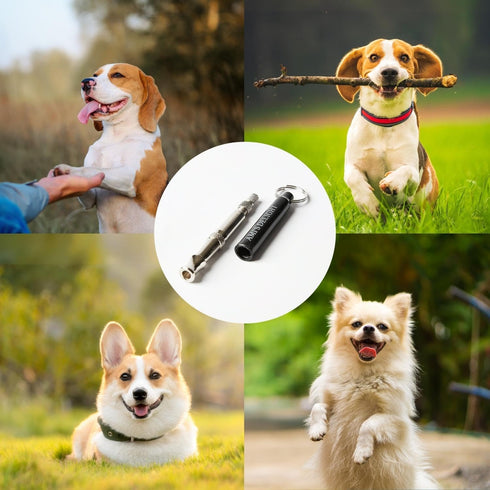Ami's Delight Dog Whistle Set of 5, Adjustable Premium Quality Whistles with Lanyards and Clicker