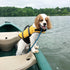 VIVAGLORY Rip Stop Dog Life Vest, Swimming Jacket with Handle, Buoyancy for Puppy, Dog Life Jacket for Swimming &