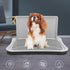 Brrnoo Dog Potty Tray, Portable Dog Training Toilet with Wall Column, Removable Mesh Training Potty for Small, Medium
