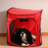 Portable Pop Up Dog Crate - Medium Size