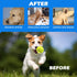 EXPAWLORER 12 Pack Tennis Toys for Dogs, 2.5 Inch Squeaky Balls for Aggressive Chewers, Perfect for All Dog Sizes