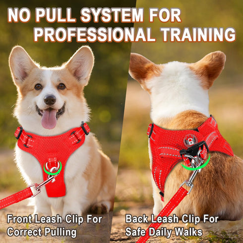 Dog Harness Step in Vest, Reflective Adjustable No Pull Harness for Small and Medium Dogs, Cats