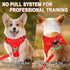 Dog Harness Step in Vest, Reflective Adjustable No Pull Harness for Small and Medium Dogs, Cats