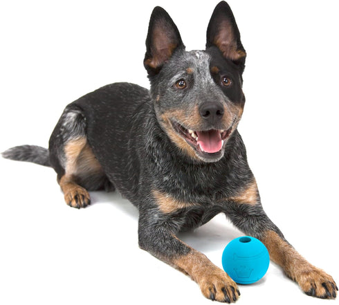 Chew King Glowing Fetch Ball, 3" Dog Ball Toys Combo