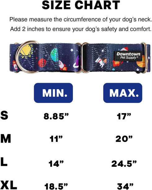 Downtown Pet Supply Martingale Collar for Dogs, Big Wide Thick Dog Training Collar, Escape-Proof, Space, Large