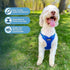 Best Pet Supplies Royal Blue Adjustable Dog Vest Harness, No Pull, for Small, Medium, Large Dogs