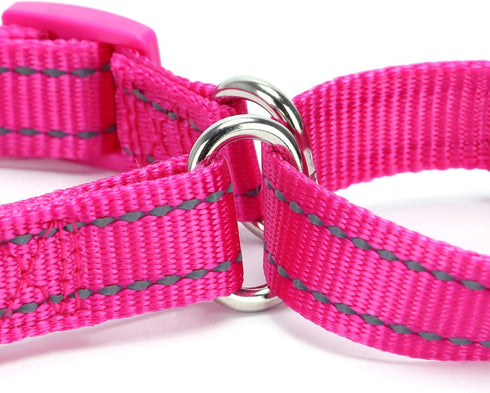 Martingale Dog Collar - Adjustable Nylon Training Collar for Small Medium Large Dogs (S, Pink)