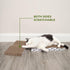 Best Pet Supplies Cat Scratcher, Wave Shaped Reversible Cardboard, Durable, Claw Safe, Natural Recycled Materials, Pack