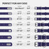CollarDirect Rolled Leather Dog Collar, Soft Padded Round Handmade Genuine Leather, 13 Colors, 13-16 Inch, Purple Smooth