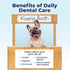 Vetnique Dentabliss Dog Teeth Cleaning Finger Mitt - Dental Wipe for Plaque and Tartar Prevention, Peppermint