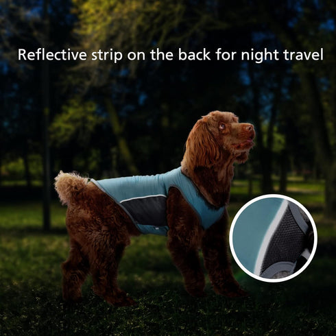UPF 50+ Sun Protection Dog Shirt, Sports Fan T-Shirts for Small Dogs, Lightweight Sleeveless Vest Pet Supplies