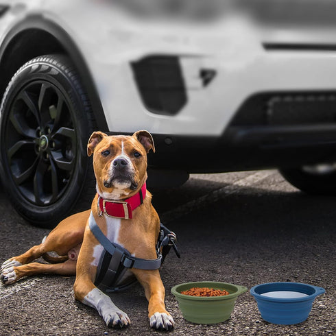 SLSON 2Pack Collapsible Dog Bowl - Integrated Molding Travel Bowl, No Plastic Rim, 600ML (Navy Blue + Dark Green)