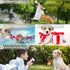 Puppy Toys 6 Pack | Cute Pink Chew Toys for Puppies | Soft Durable Interactive Teething Toys for Small Dogs