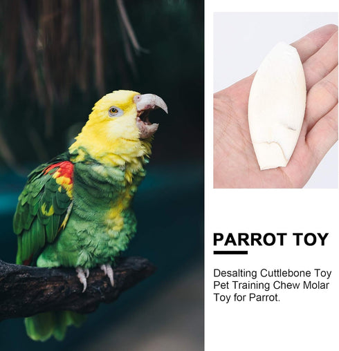 12pcs Bird Cuttlebone Chew Toy, Cuttlefish Bones for Parrot Cage Toys, 10cm Bird Bite Toy
