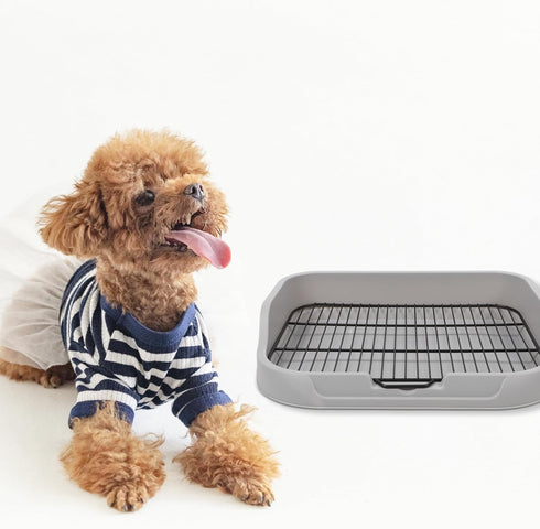 1set Toddmomy Dog Potty Training Tray Splashproof Design Materials Capacity for Dogs Indoor Use Easy to Pet Toilet