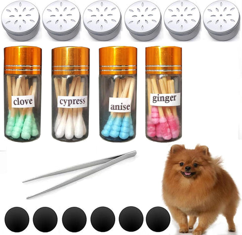 Dog Scent Work Starter Kit, Available in Anise, Birch, Clove, Vetiver Flavors, Nose Work Training Kit