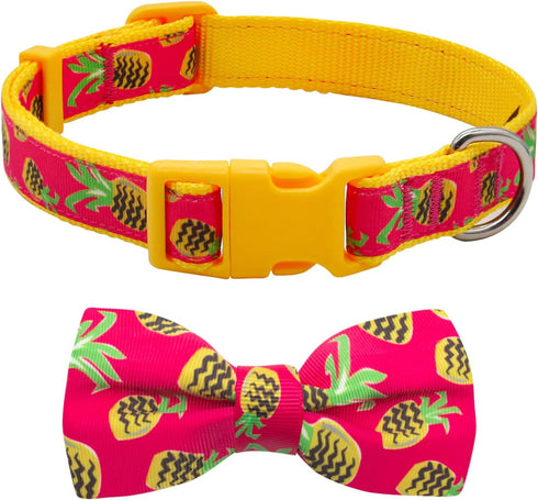 azuza Bowtie Dog Collar, Soft & Comfy with Fun Patterns for Small Dogs