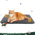 Self Warming Cat Bed, Extra Warm Thermal Pet Pad 29.1 x 18.9 Inch for Indoor Outdoor Pets with Removable Cover