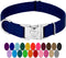 Country Brook Petz Premium Nylon Dog Collar with Metal Buckle - Medium, 3/4 Inch, Royal Blue