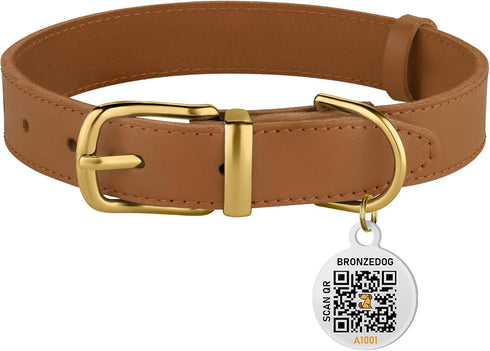 BRONZEDOG Leather Dog Collar with Metal Buckle, Durable Basic Pet Collars for Small Medium Large Dogs (14-17 Inch,