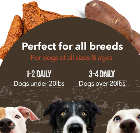 Gaines Family Farmstead Sweet Potato & Chicken Fillets for Dogs, 8 oz - All-Natural, Grain-Free Treats