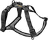 OllyDog Alpine Reflective Comfort Harness - No Pull Dog Harness with Reflective Trims, Ideal for Everyday Use (Medium,