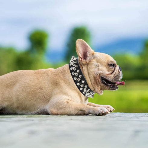 Spiked Dog Cat Collar, Male Black Soft Leather Spike Puppy Collars Adjustable for Small Medium Large Dogs Chihuahua