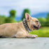 Spiked Dog Cat Collar, Male Black Soft Leather Spike Puppy Collars Adjustable for Small Medium Large Dogs Chihuahua