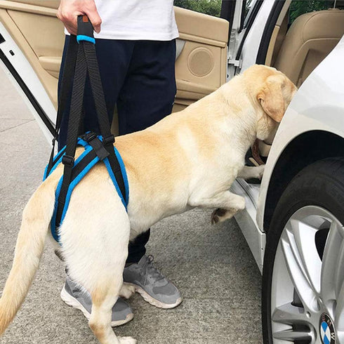 Dog Lift Support Harness for Weak Rear Legs, Adjustable Back Leg Hip Support Harness for Senior Dogs with Joint Injuries