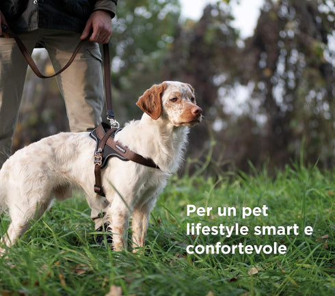 MyFamily Made in Italy Polyester Dog Bib, Your Dog's Master Data Always with You, Smartphone Connection with NFC