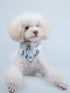 Small Dog Collar Puppy Cat Tiny Pet Bow Tie & Bandana Set, 2pcs PU Leather Canvas Scarf, Durable Camo-Blue