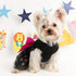Dog Birthday Outfit for Small Dogs, Colorful Alphabet Mesh Dresses, Summer Tutu Princess Pet Clothing, XS